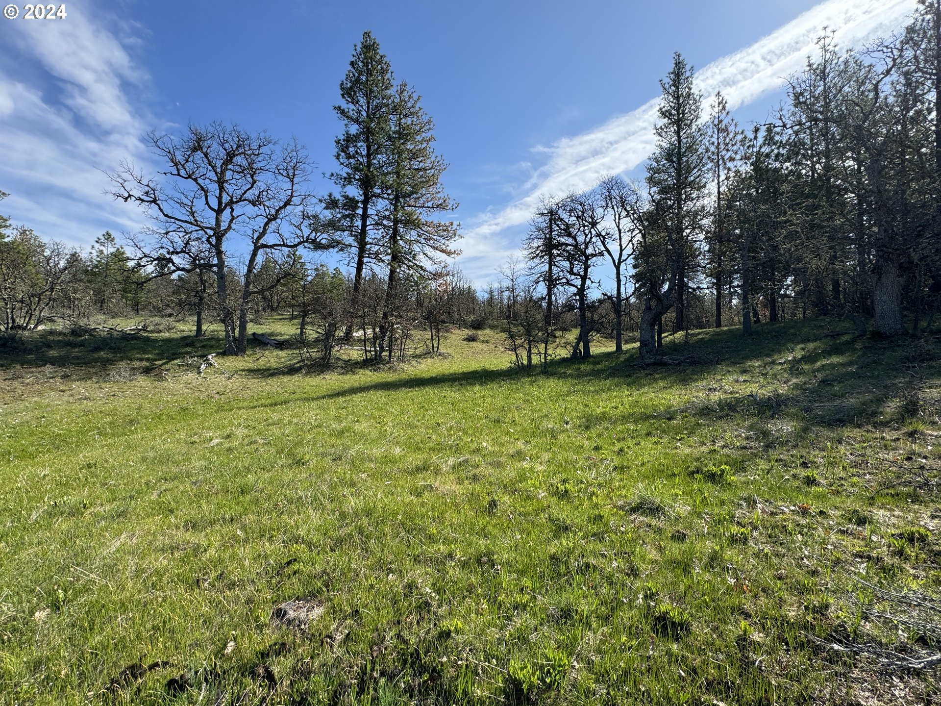 Chisholm Goldendale, WA 98620 - Photo 14 of 25 Gallery Image 14