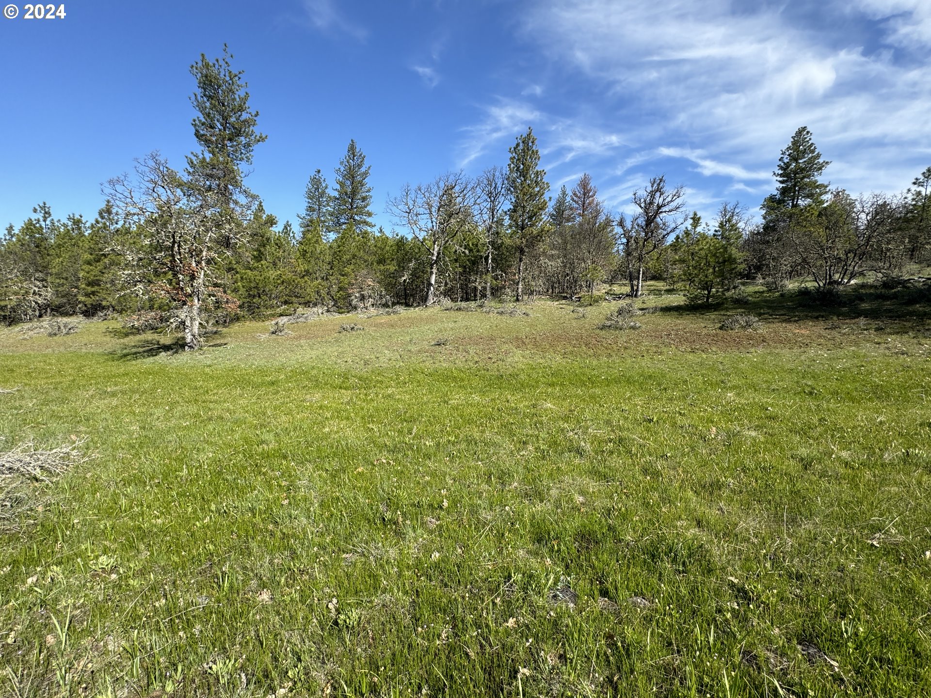 Chisholm Goldendale, WA 98620 - Photo 15 of 25 Gallery Image 15