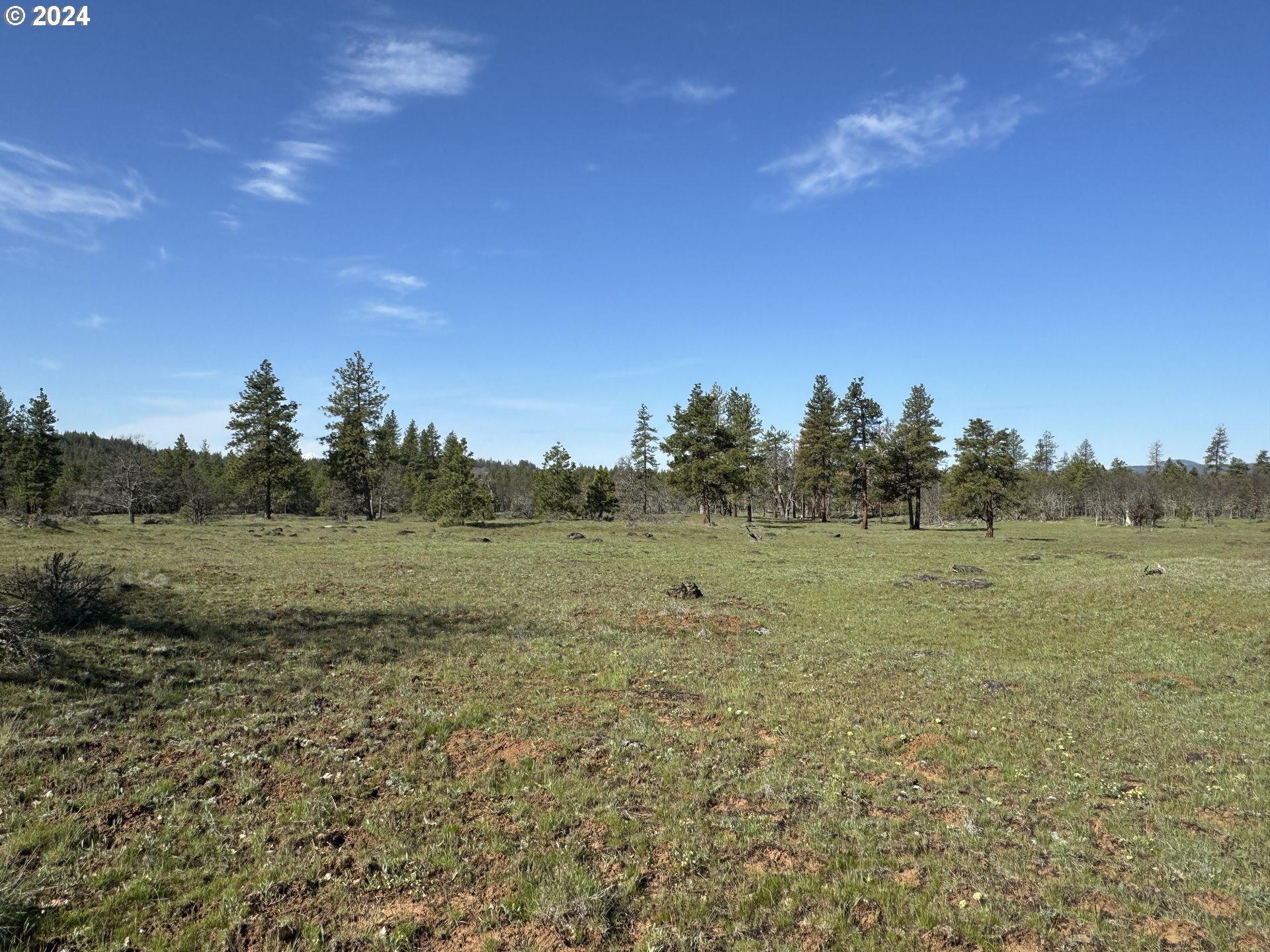 Chisholm Goldendale, WA 98620 - Photo 17 of 25 Gallery Image 17