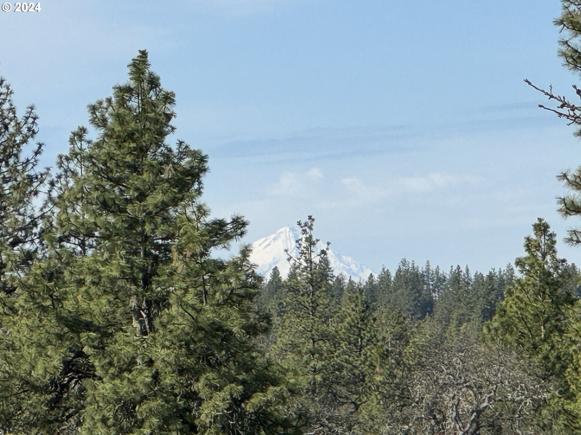 Chisholm Goldendale, WA 98620 - Photo 2 of 25 Gallery Image 2