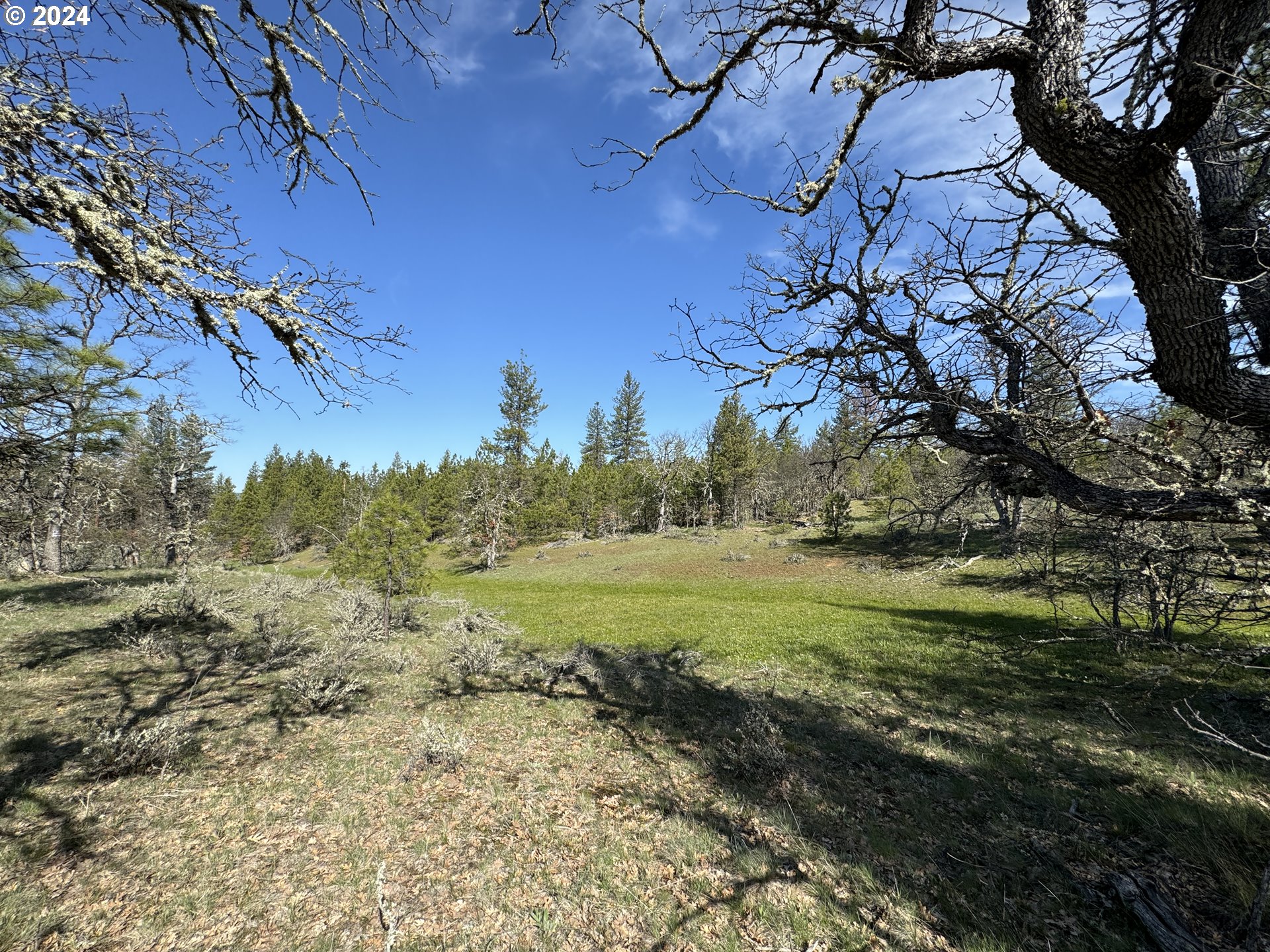 Chisholm Goldendale, WA 98620 - Photo 22 of 25 Gallery Image 22
