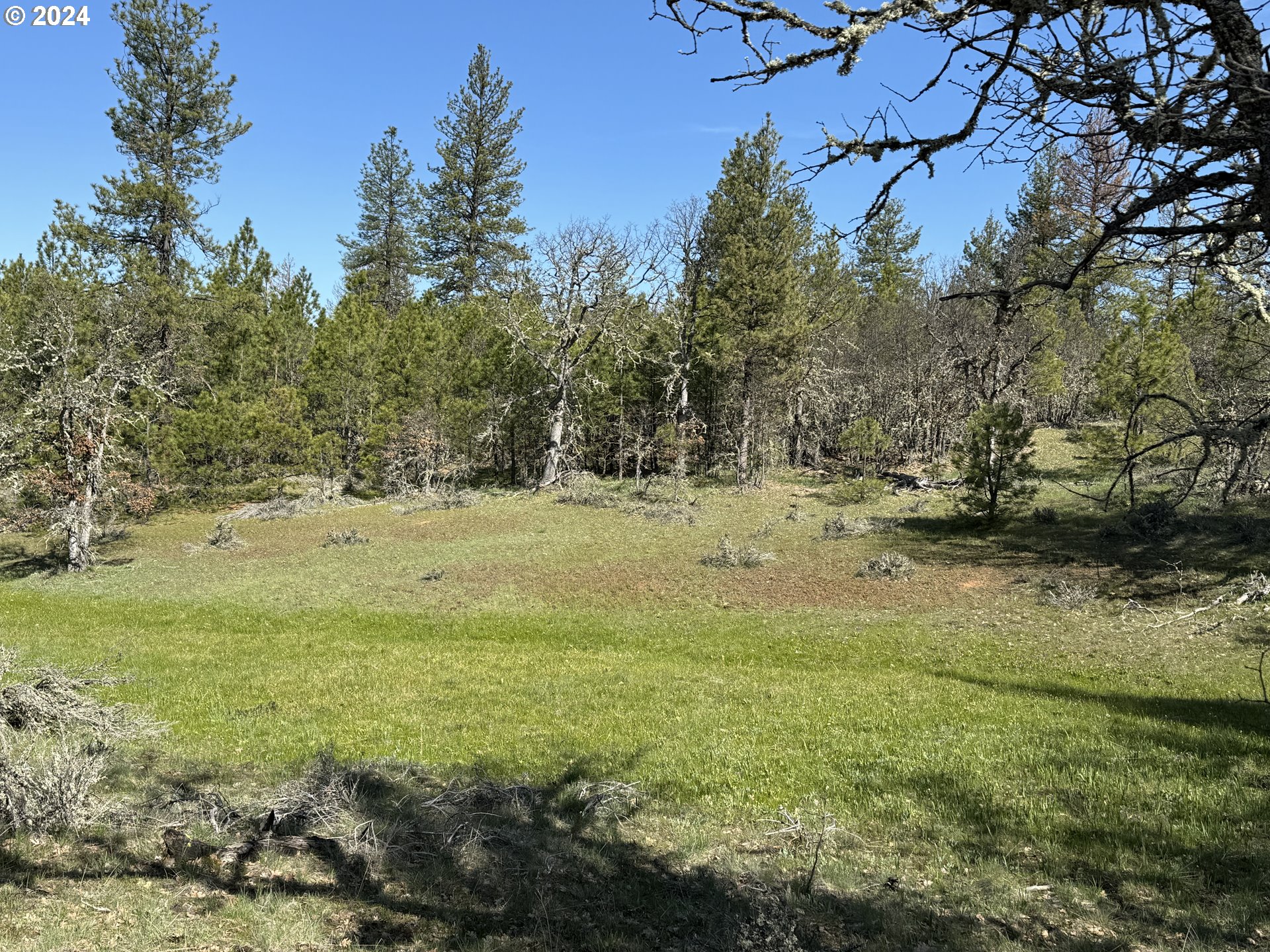 Chisholm Goldendale, WA 98620 - Photo 23 of 25 Gallery Image 23