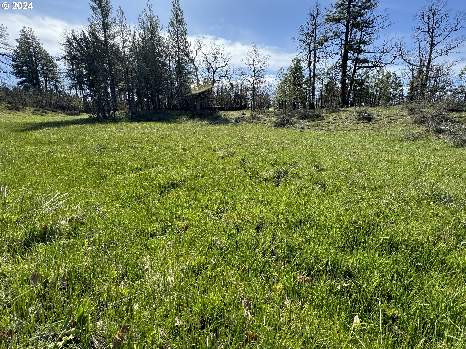 Chisholm Goldendale, WA 98620 - Photo 24 of 25 Gallery Image 24