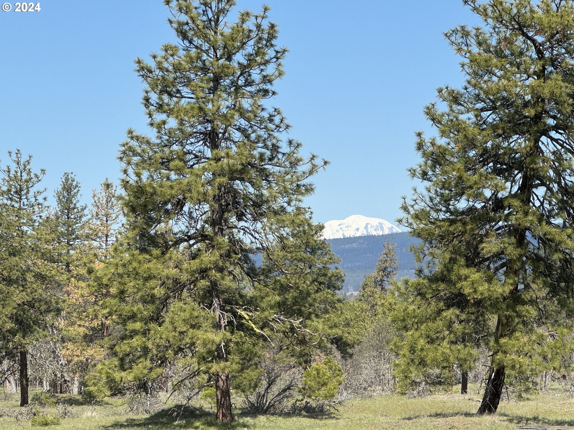 Chisholm Goldendale, WA 98620 - Photo 3 of 25 Gallery Image 3
