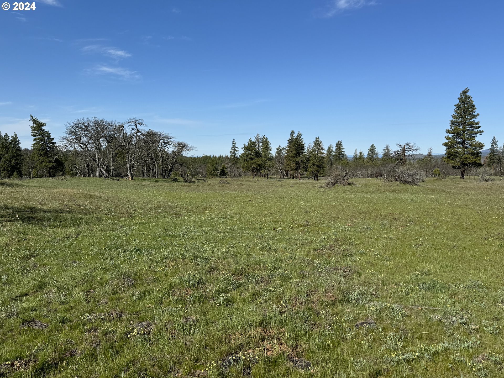 Chisholm Goldendale, WA 98620 - Photo 4 of 25 Gallery Image 4