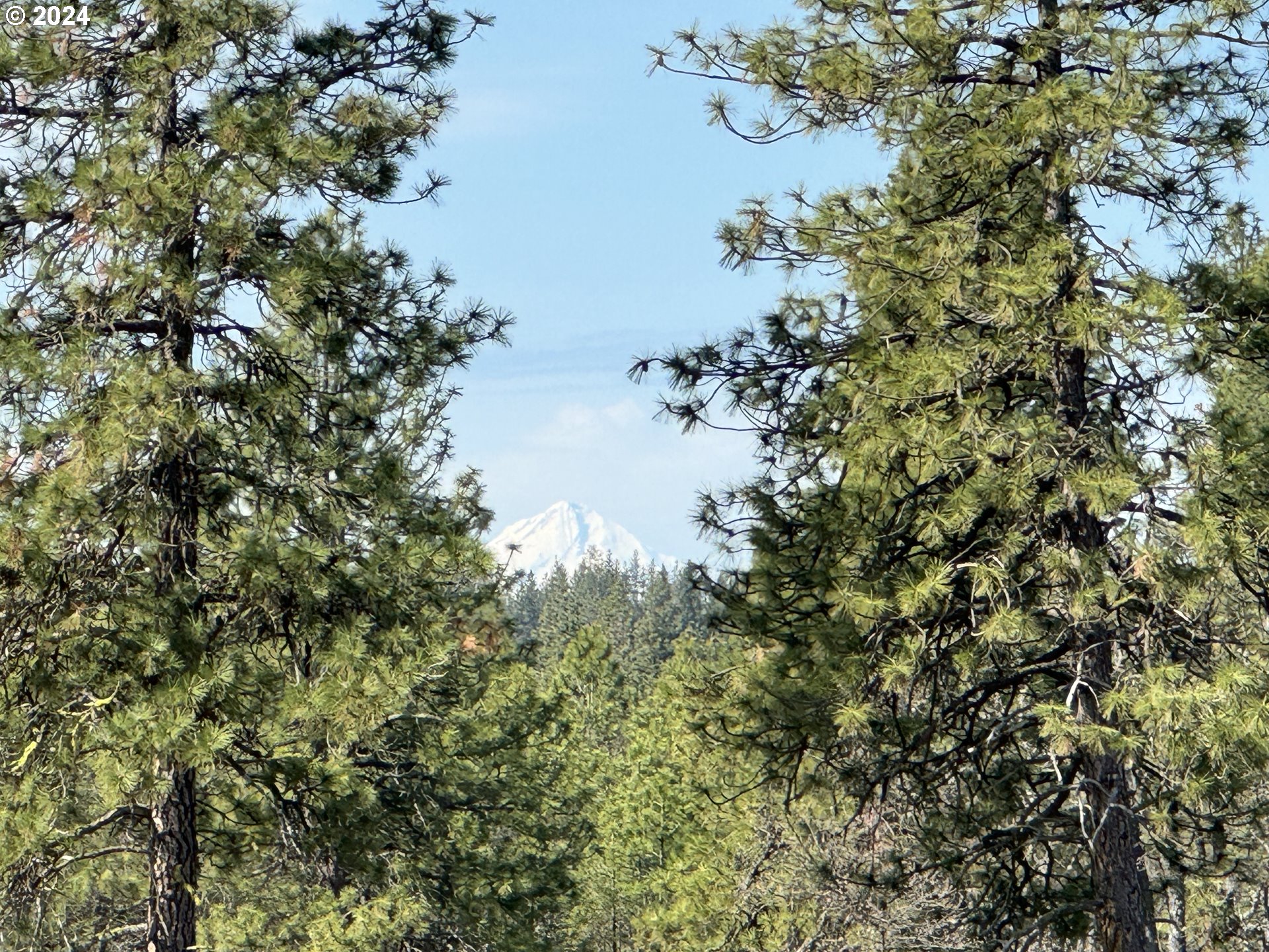 Chisholm Goldendale, WA 98620 - Photo 5 of 25 Gallery Image 5