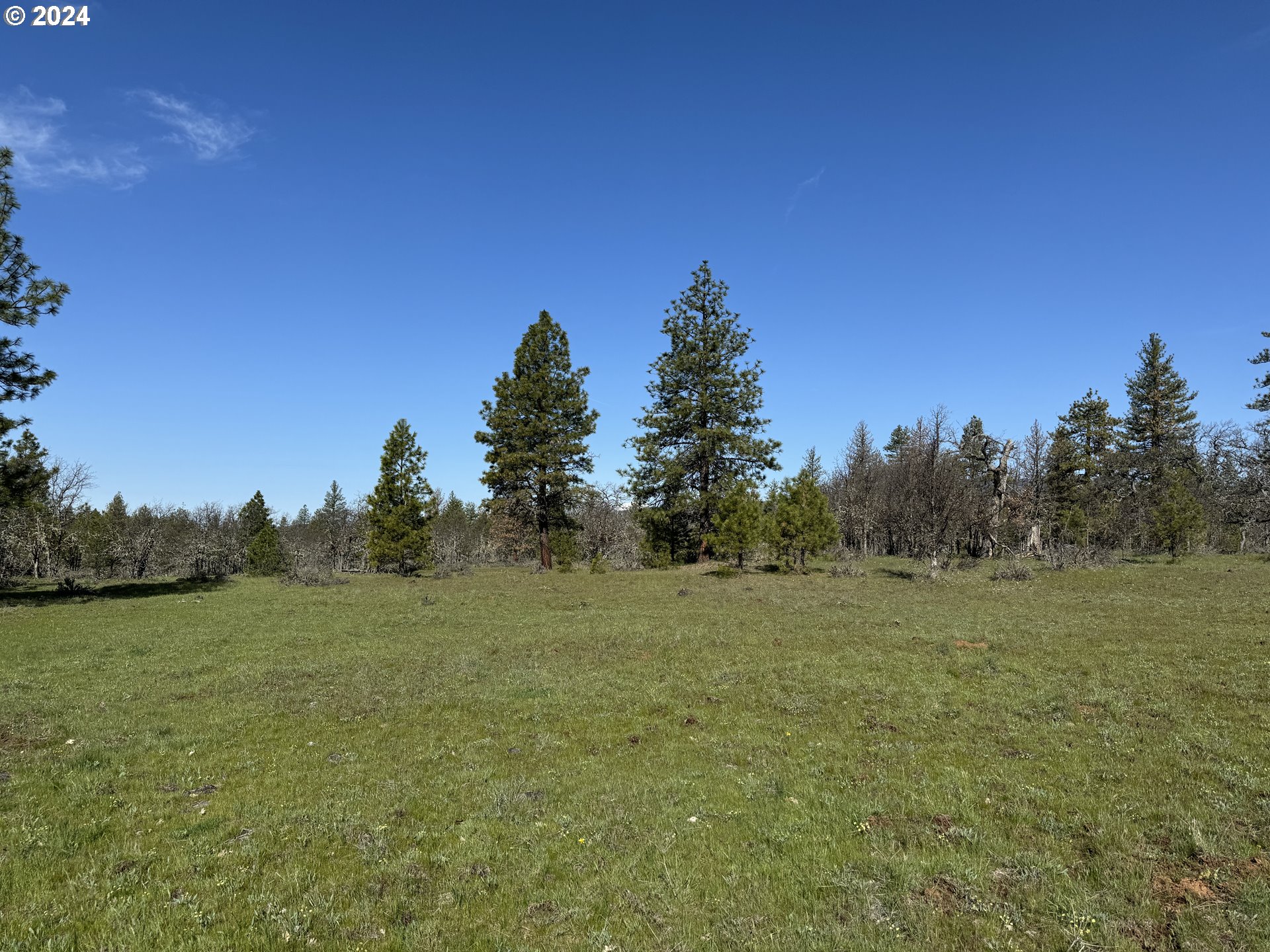Chisholm Goldendale, WA 98620 - Photo 7 of 25 Gallery Image 7