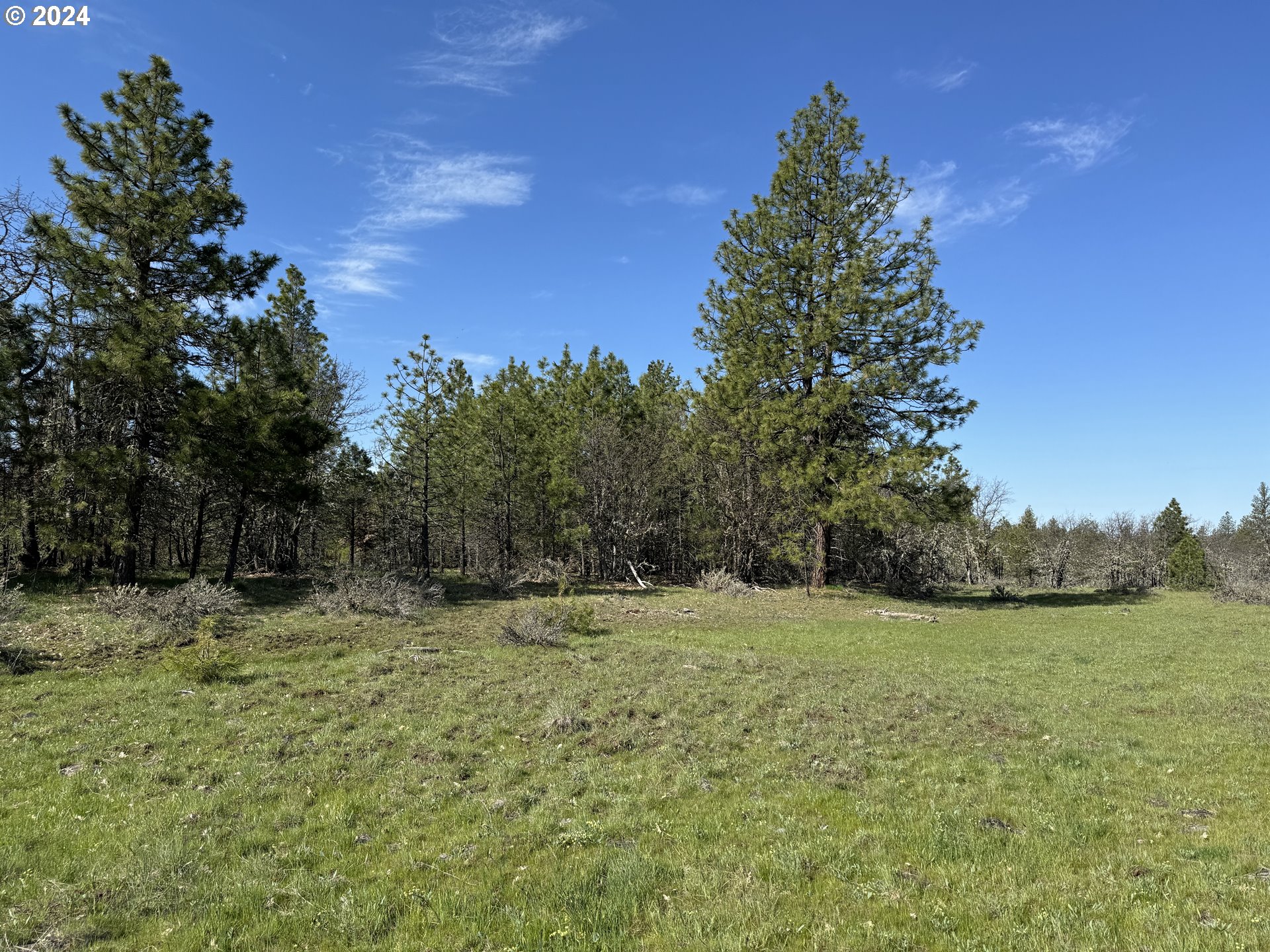 Chisholm Goldendale, WA 98620 - Photo 8 of 25 Gallery Image 8