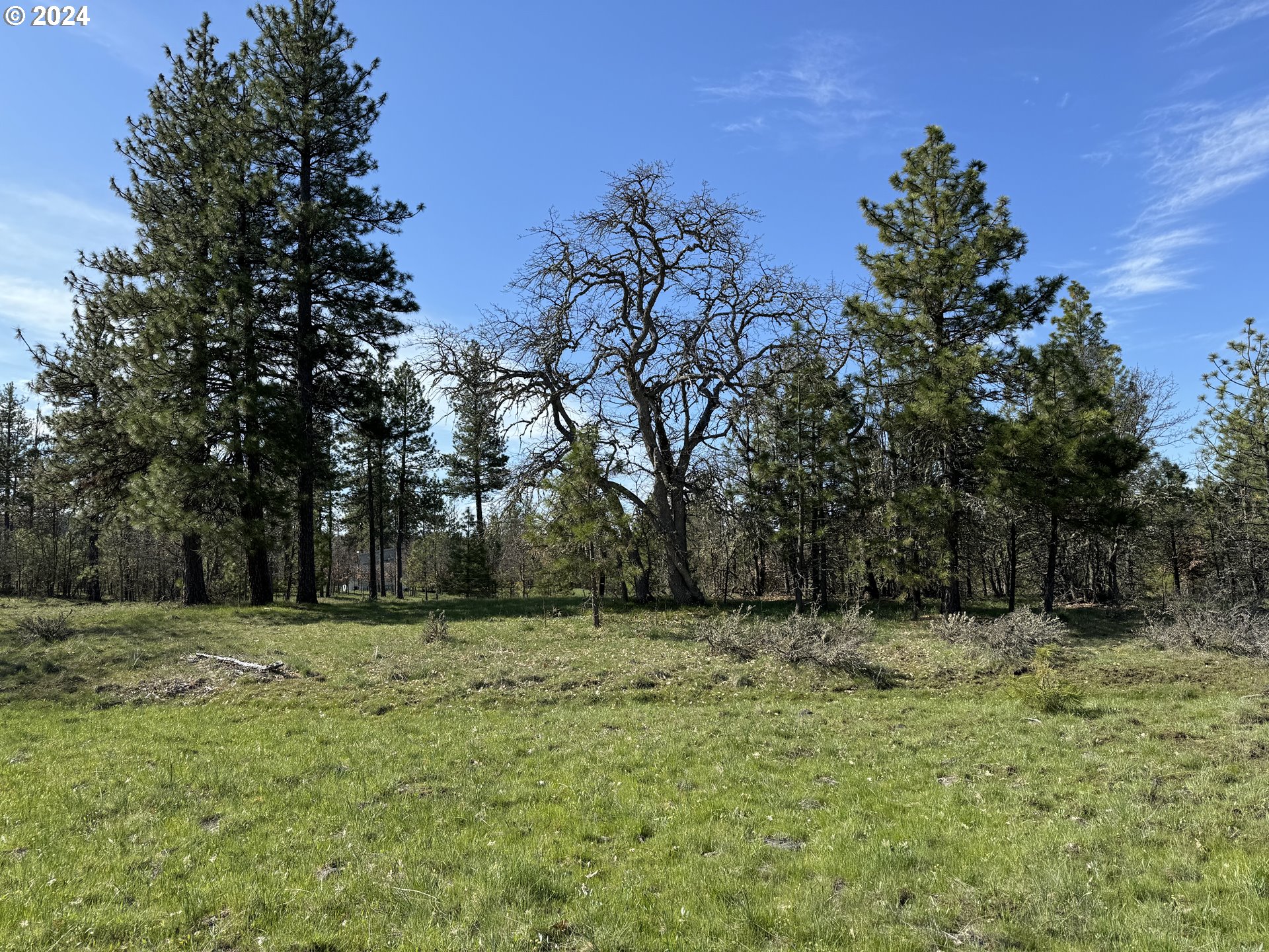 Chisholm Goldendale, WA 98620 - Photo 9 of 25 Gallery Image 9