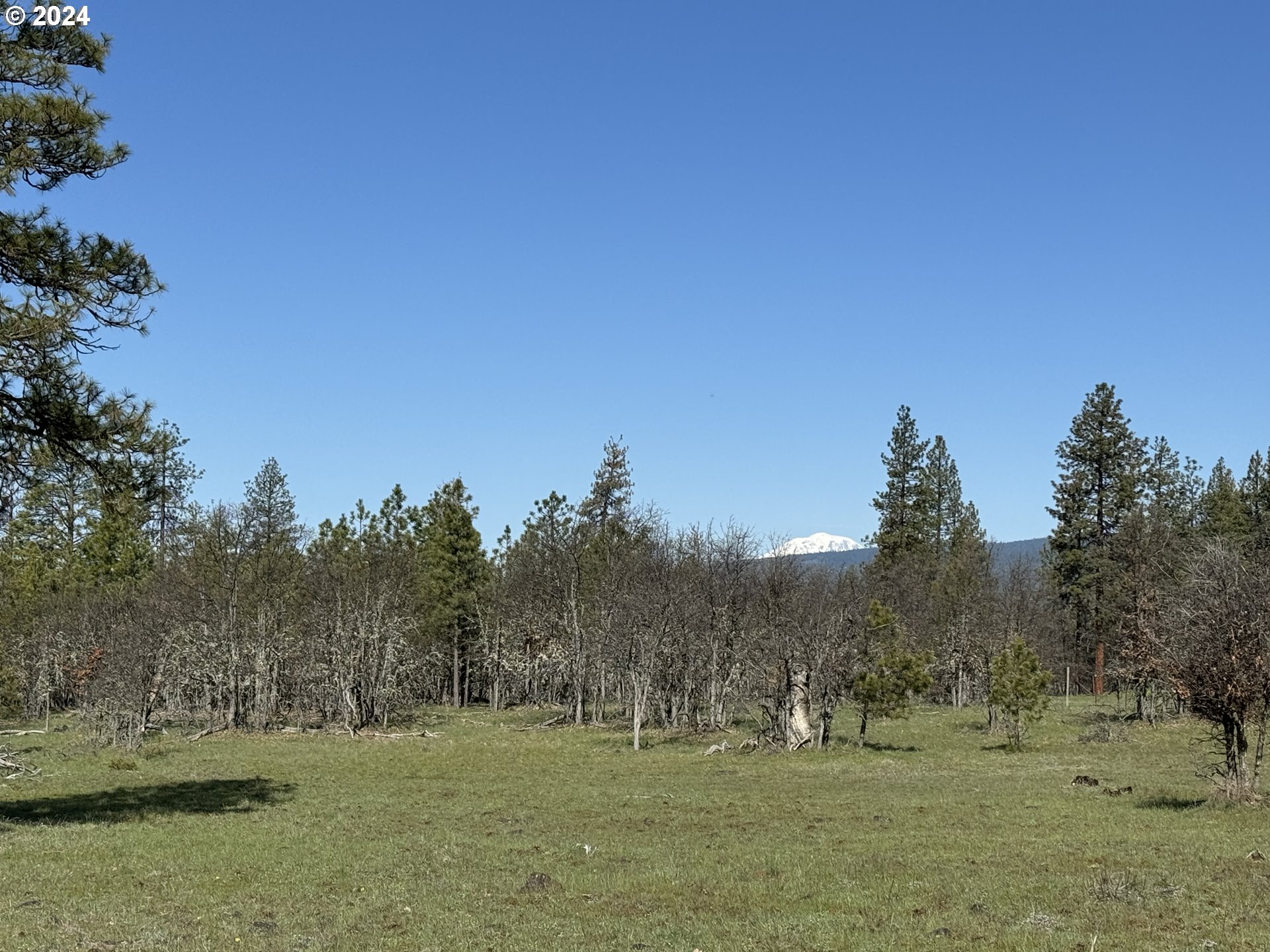 Chisholm Goldendale, WA 98620 - Photo 10 of 25 Gallery Image 10