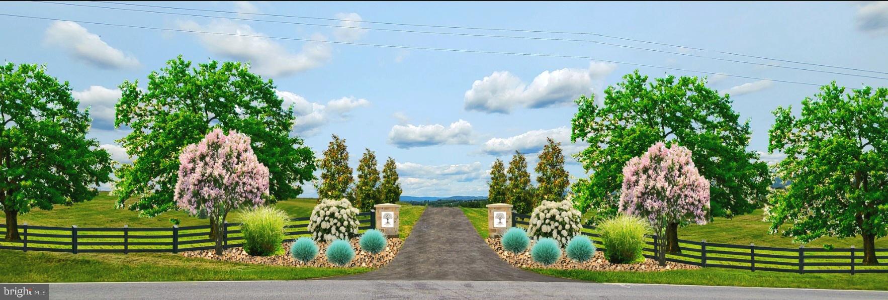 3120 Bidle Road Middletown, MD 21769 - Photo 5 of 14 a view of a flower in a garden