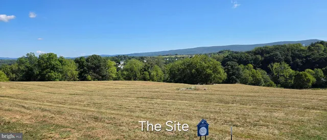 a view of an ocean beach
