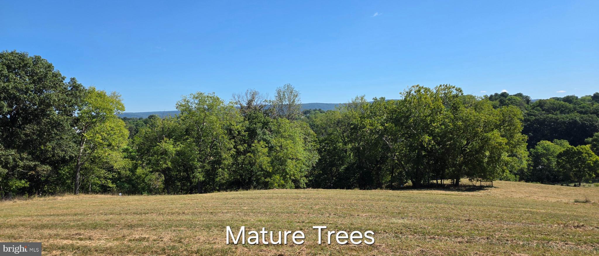3120 Bidle Road Middletown, MD 21769 - Photo 7 of 14 a view of a field with trees in the background