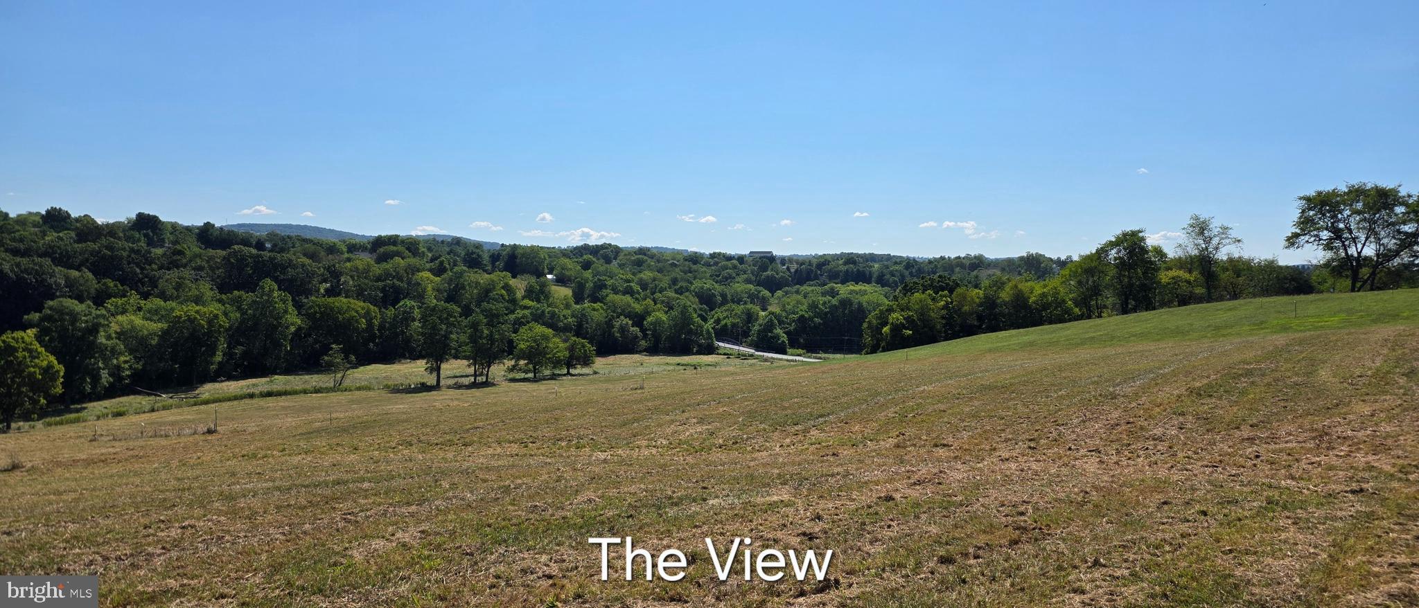 3120 Bidle Road Middletown, MD 21769 - Photo 8 of 14 a view of outdoor space with mountain view