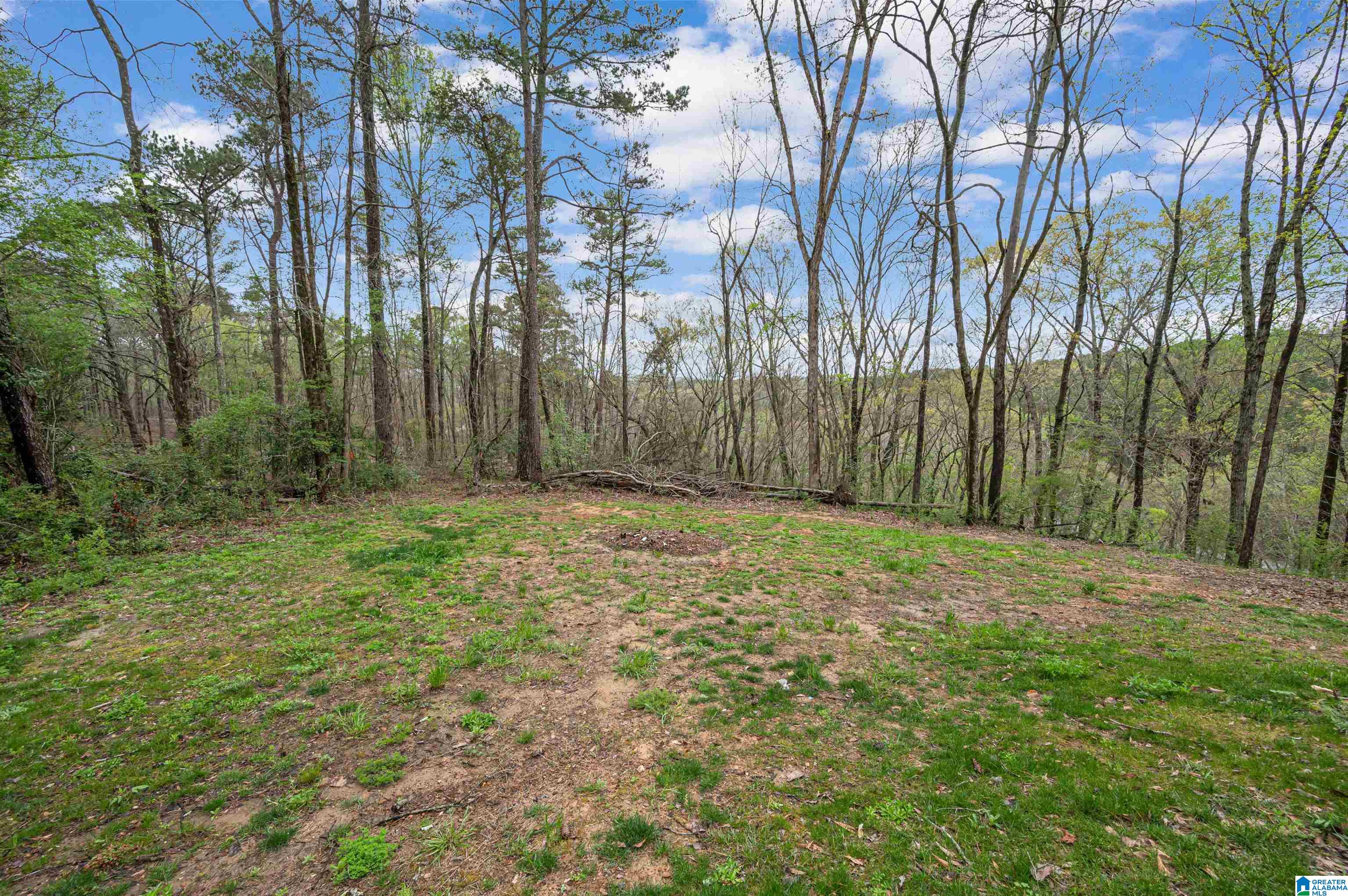 1813 Easley Bridge Road Oneonta, AL 35121 - Photo 36 of 38 Gallery Image 36