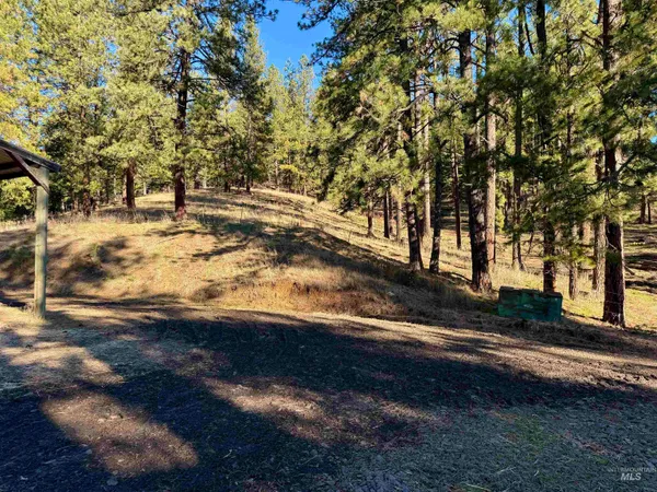 $924,500 | 103 Llama Lane, Kamiah, ID 83536