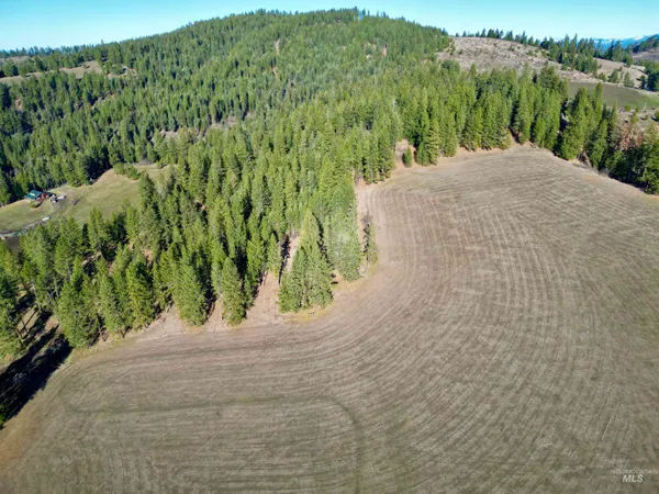 $924,500 | 103 Llama Lane, Kamiah, ID 83536