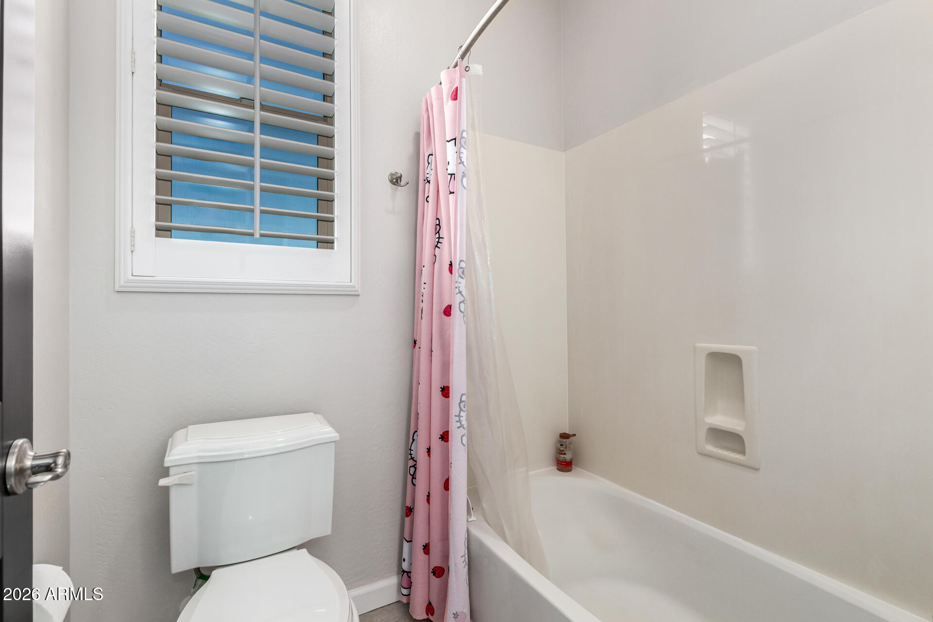 22116 East Rosa Road Queen Creek, AZ 85142 - Photo 34 of 48 Bathroom 3 View B