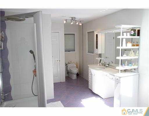 80 Ellmyer Road Edison, NJ 08820 - Photo 12 of 25 a bathroom with a sink double vanity and a shower