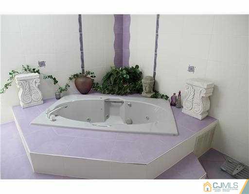 80 Ellmyer Road Edison, NJ 08820 - Photo 13 of 25 a bath room with a sink and a mirror