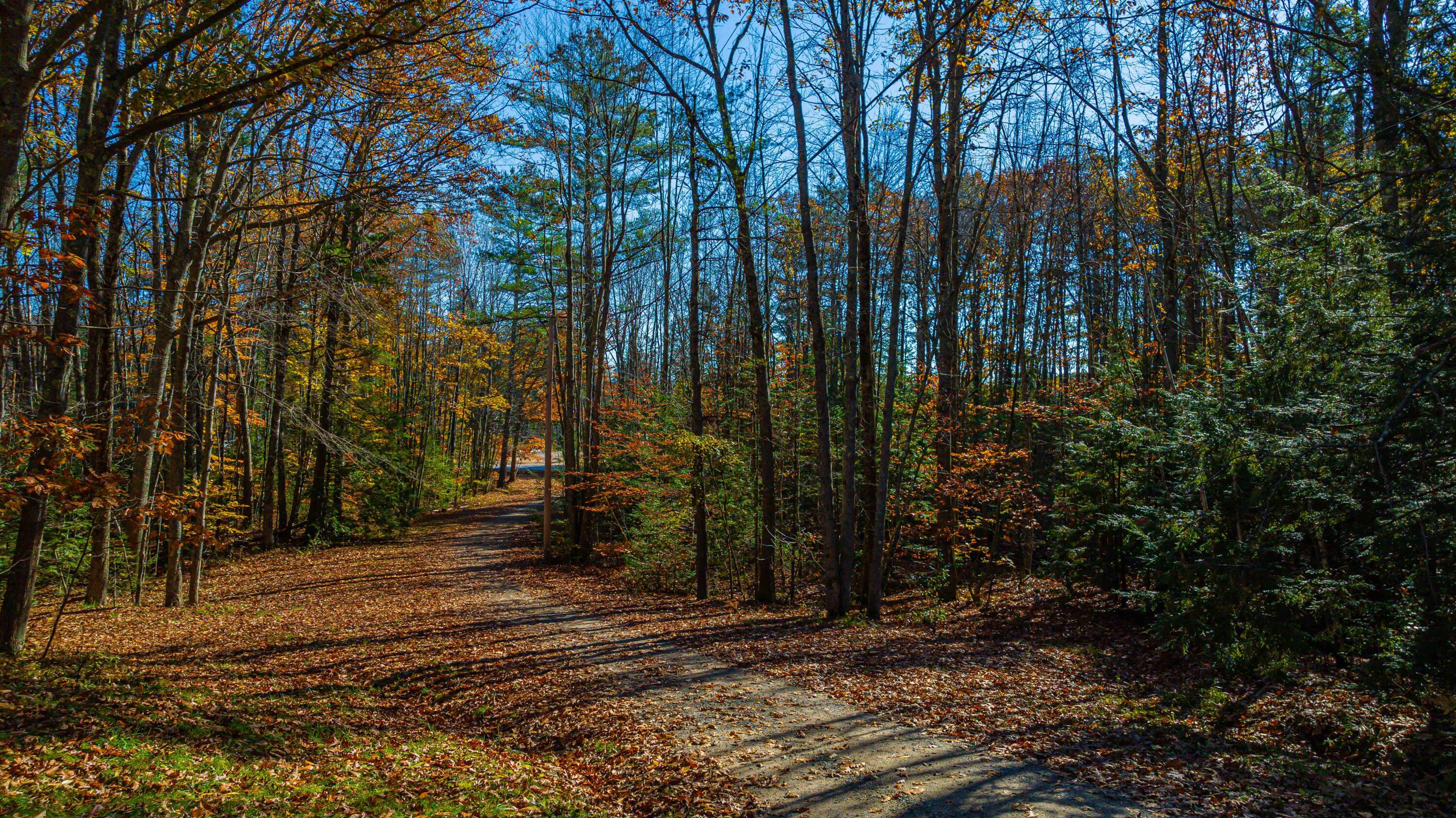 41 Burnham Road Gorham, ME 04038 - Photo 28 of 62 DJI_0537