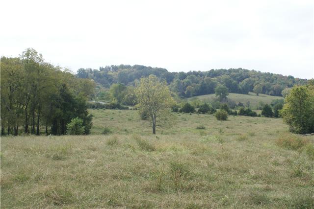 460 Millhouse Road Bell Buckle, TN 37020 - Photo 7 of 12 Gallery Image 7