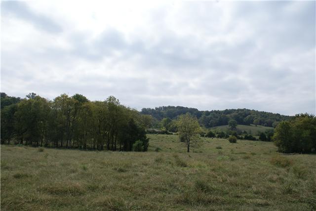 460 Millhouse Road Bell Buckle, TN 37020 - Photo 8 of 12 Beautiful land