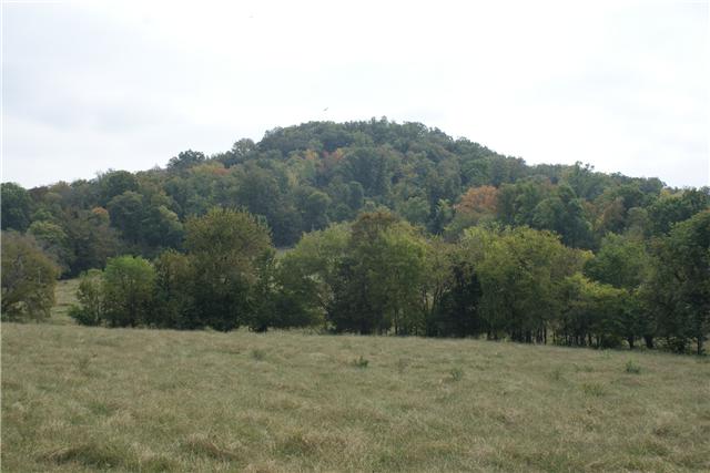 460 Millhouse Road Bell Buckle, TN 37020 - Photo 9 of 12 Gallery Image 9