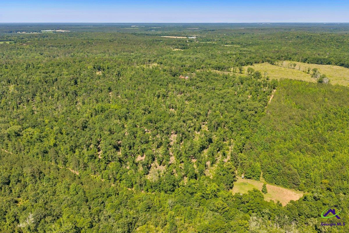 4 Everett Wood Road Oglethorpe, GA 31068 - Photo 11 of 23