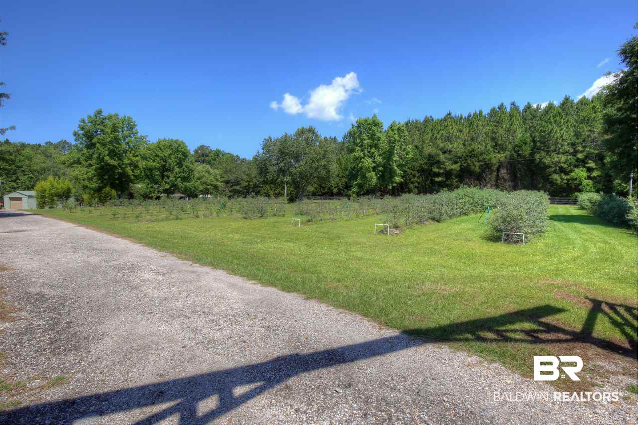 34025 Highway 31 Stapleton, AL 36578 - Photo 7 of 25