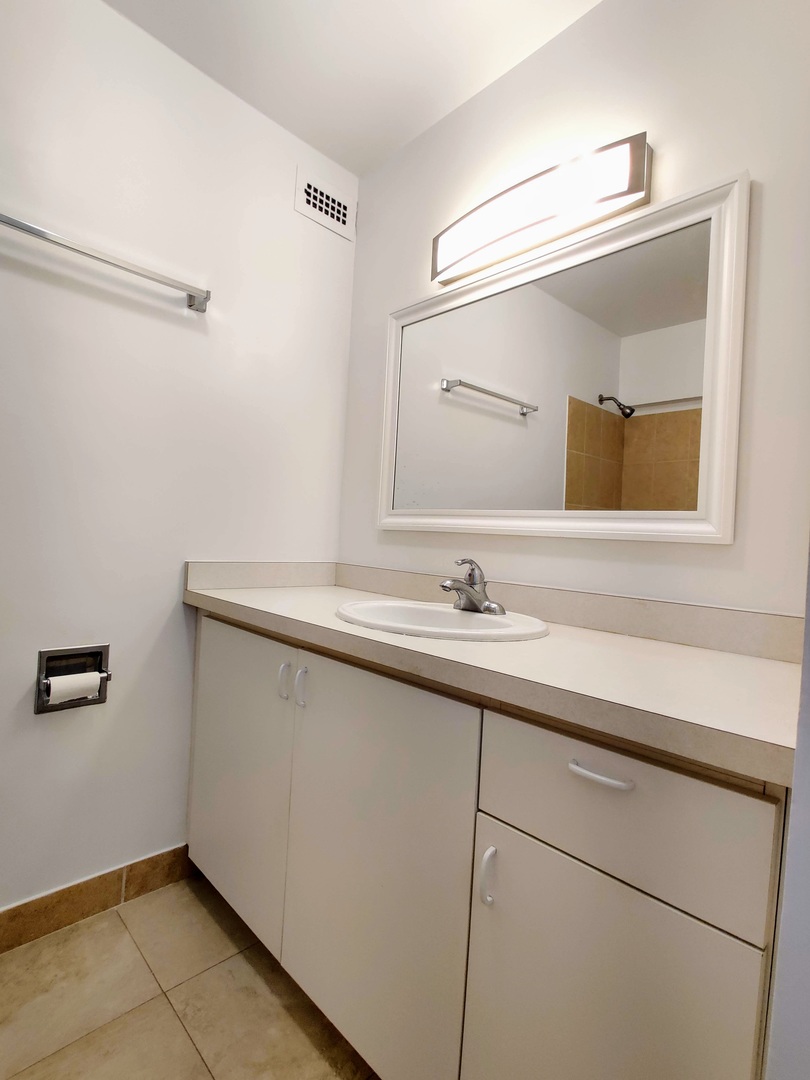 5445 North Sheridan Road, Unit 2504 Chicago, IL 60640 - Photo 17 of 37 a bathroom with a sink and a mirror