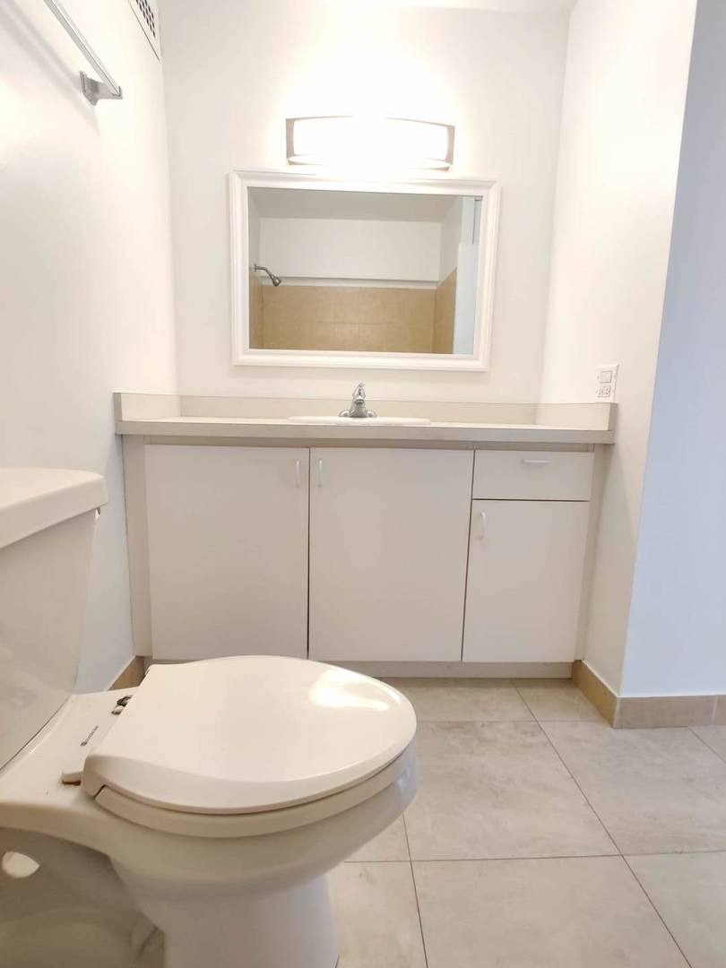 5445 North Sheridan Road, Unit 2504 Chicago, IL 60640 - Photo 18 of 37 a bathroom with a toilet a sink and mirror