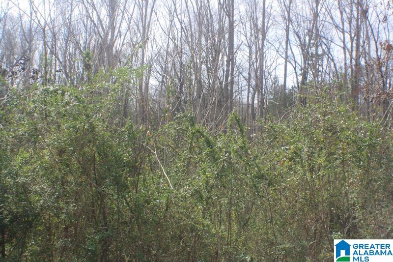 Old Choccolocco Road, Unit 97 Weaver, AL 36277 - Photo 4 of 27