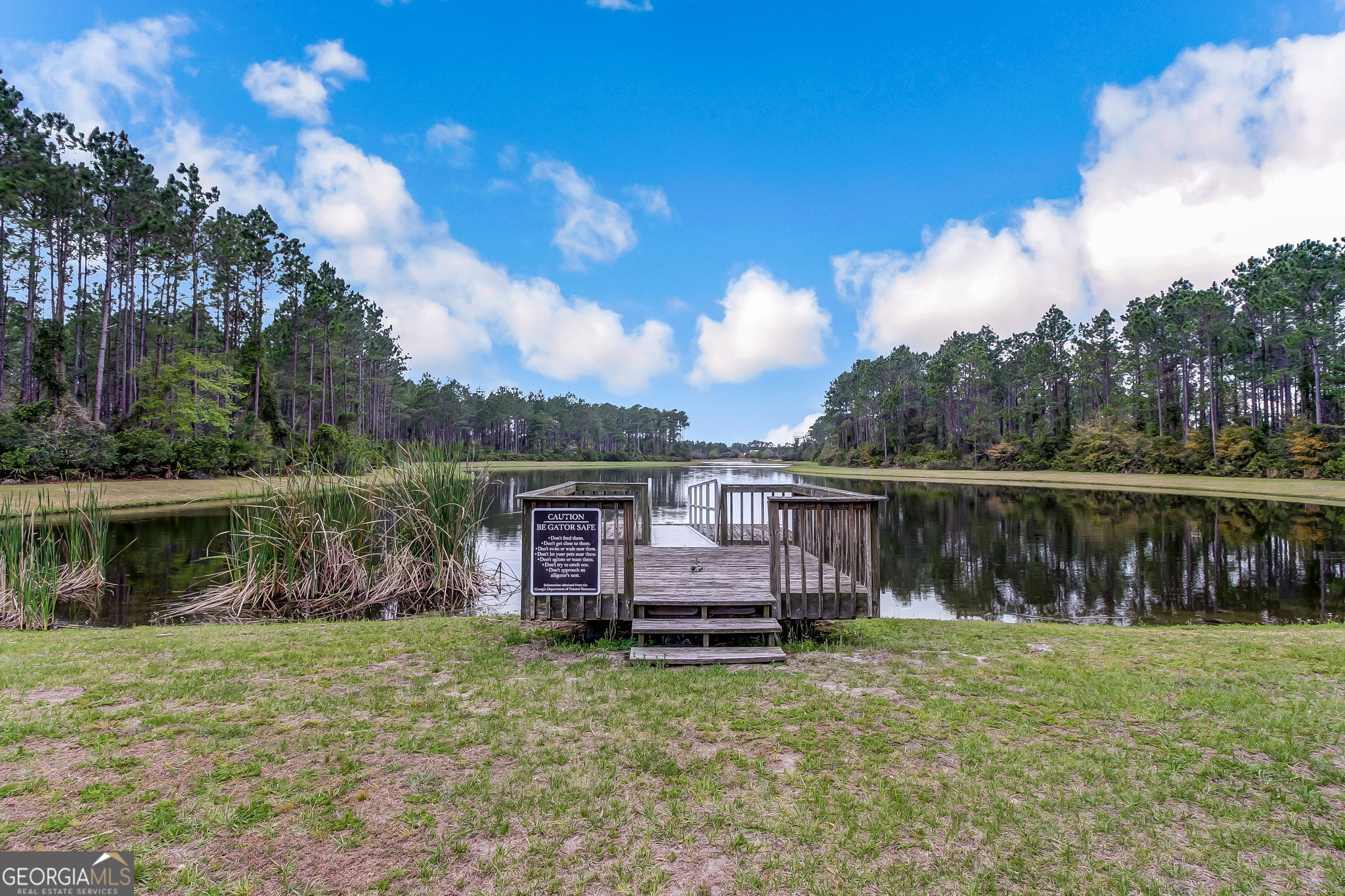 105 Spartina Court St. Marys, GA 31558 - Photo 64 of 95 a backyard of a house with yard table and chairs