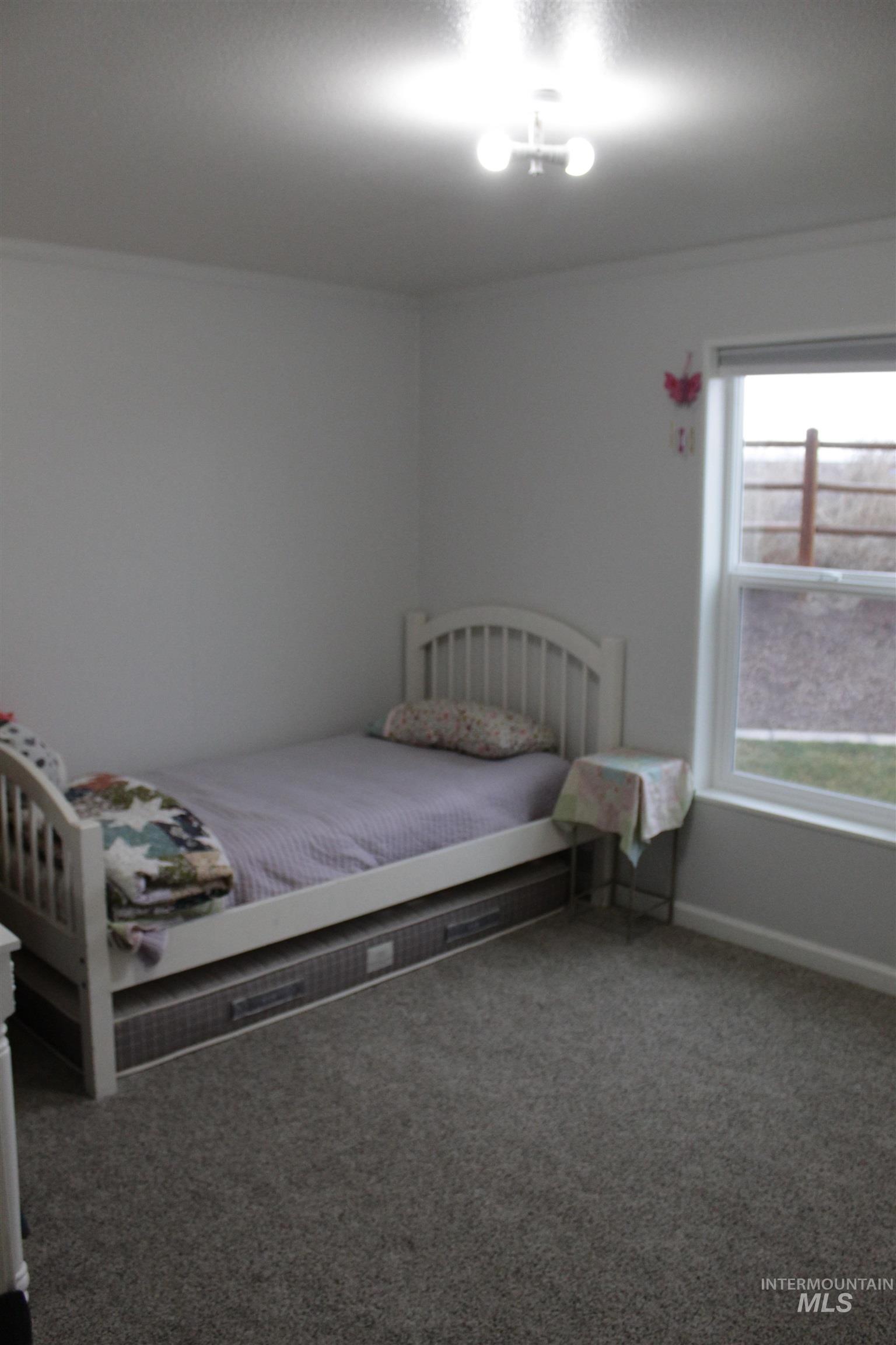 27520 Pearl Road Parma, ID 83660 - Photo 15 of 29 View of carpeted bedroom