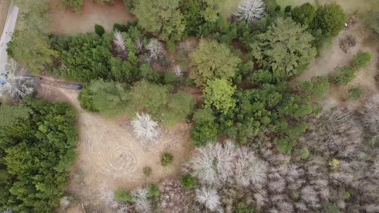 Scottish Lane Bay Minette, AL 36507 - Photo 1 of 25