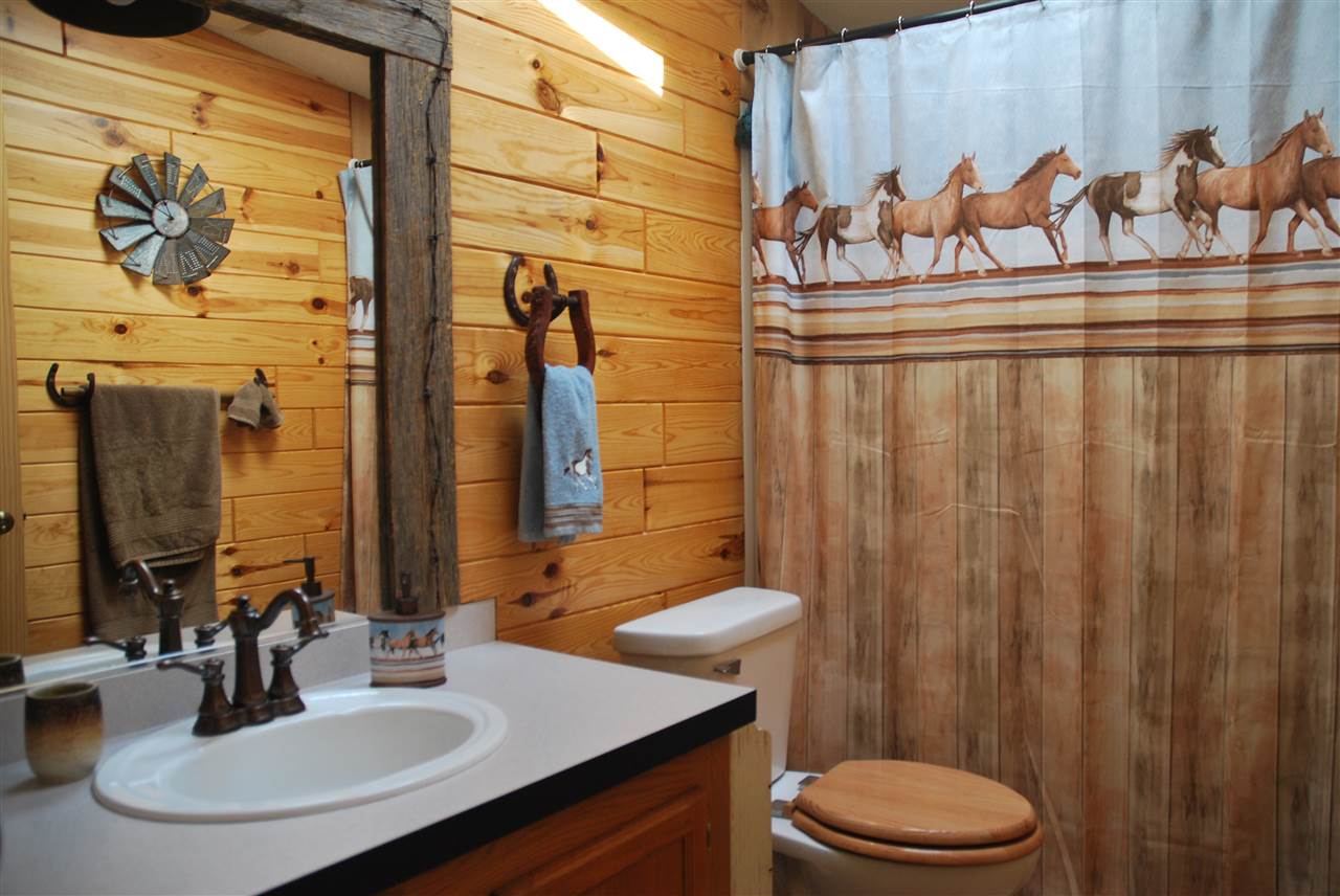 8803 Mockerman Road Southeast Fife Lake, MI 49633 - Photo 18 of 45 1867717-17.JPG
