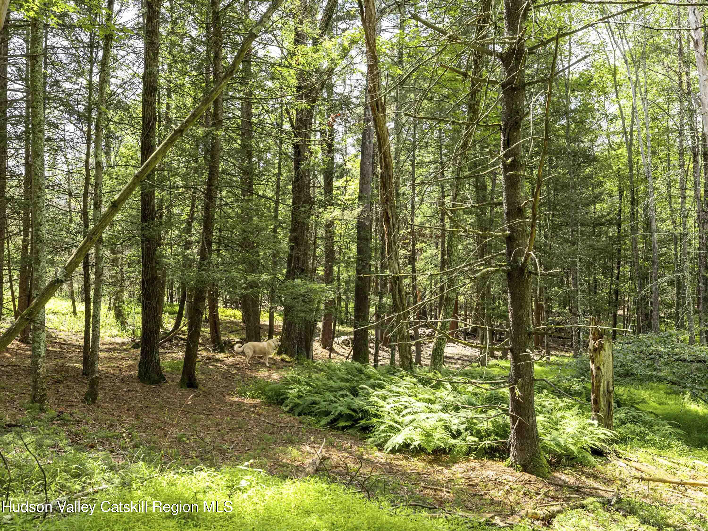 154 Lang Road Accord, NY 12404 - Photo 24 of 40 Lang Road Accord NY 12404 - 17