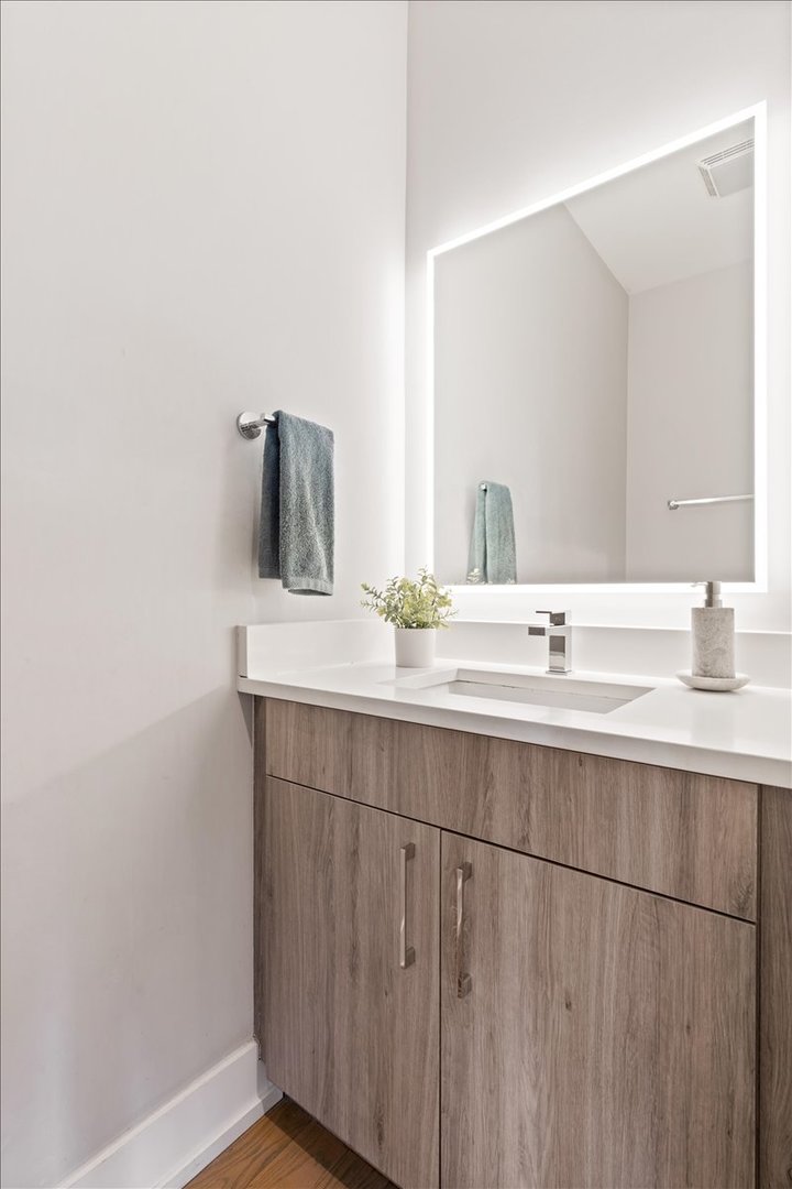 1610 South Carpenter Street, Unit 1S Chicago, IL 60608 - Photo 14 of 27