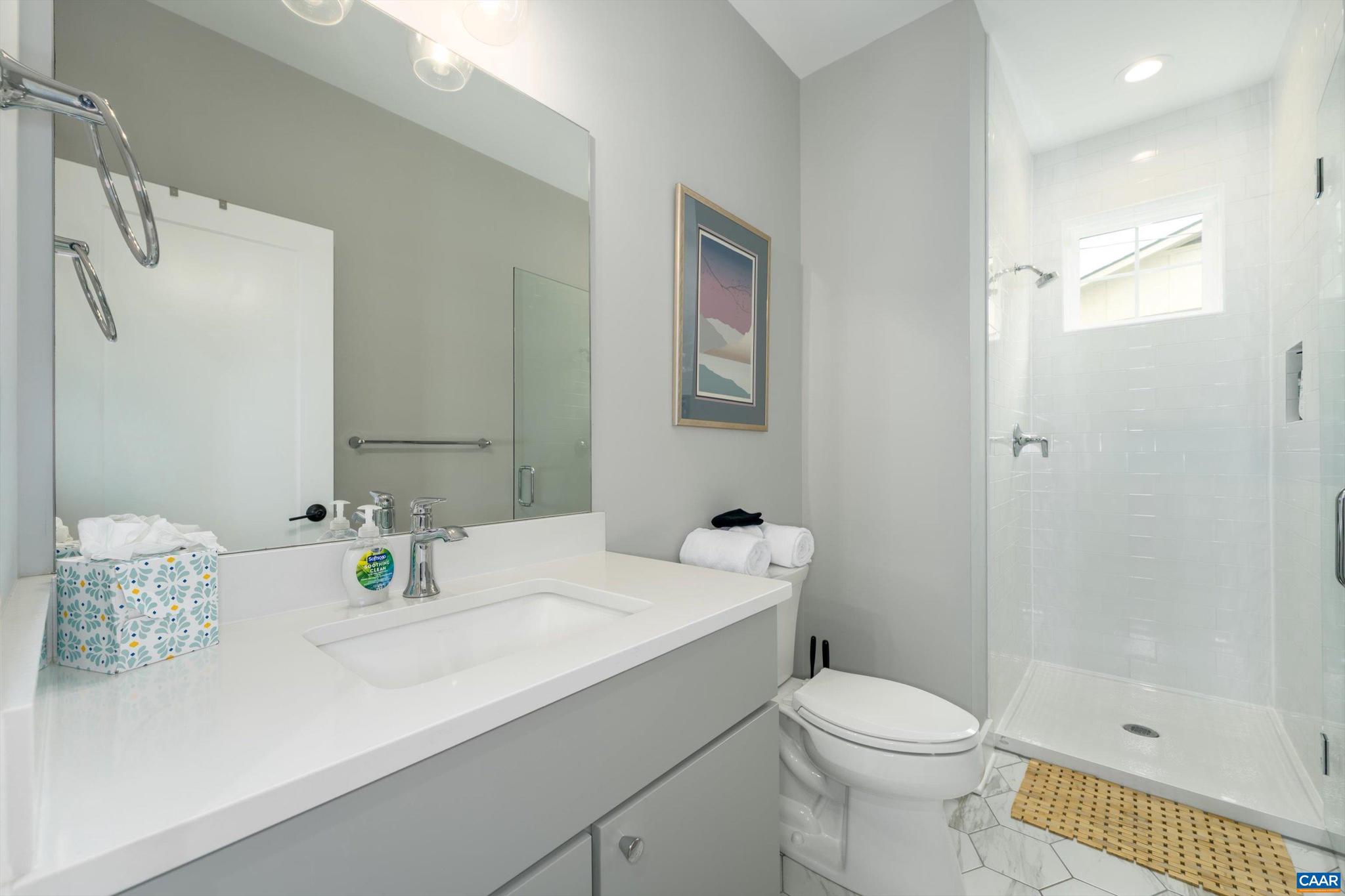 207 Hartmans Mill Road Charlottesville, VA 22902 - Photo 24 of 62