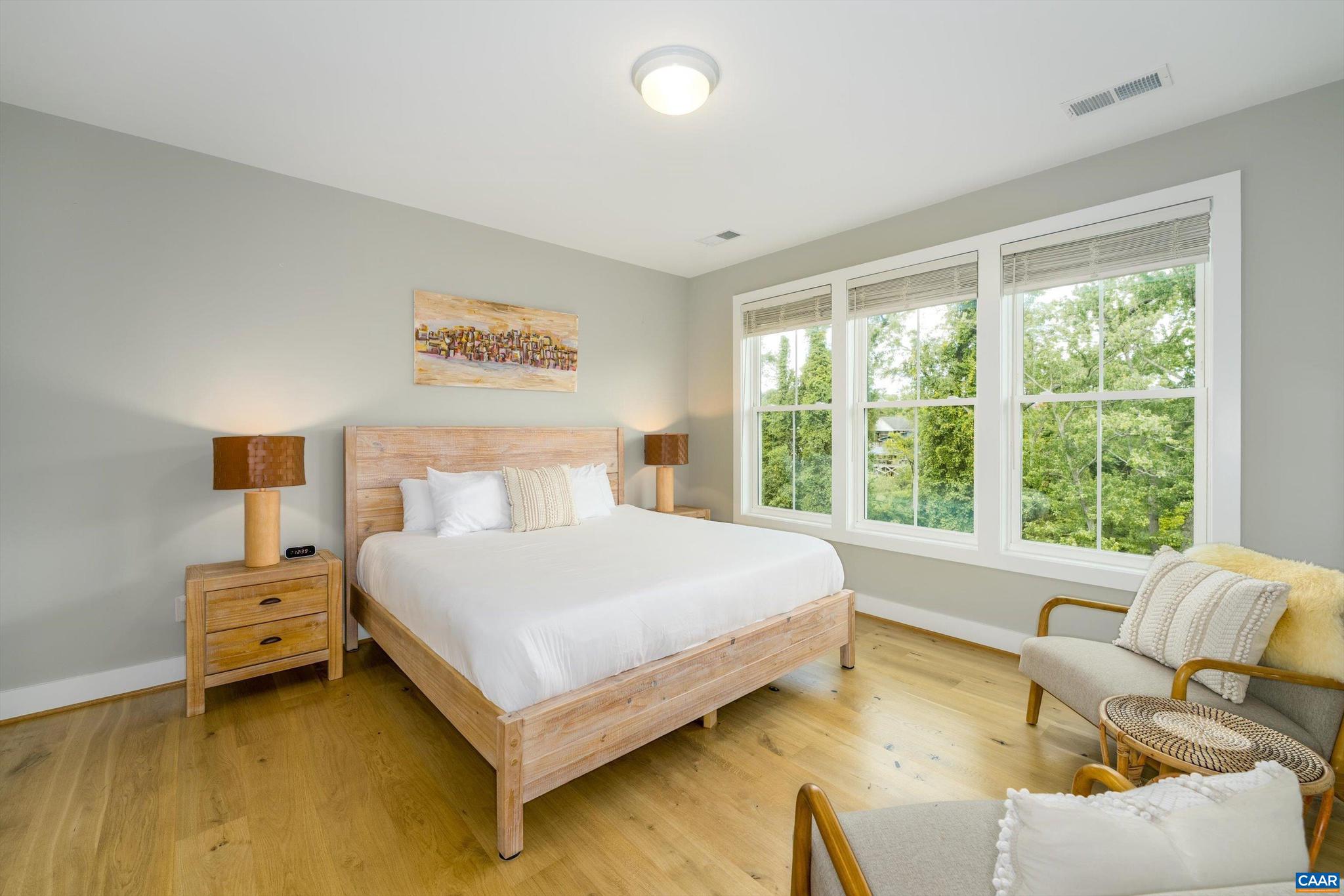 207 Hartmans Mill Road Charlottesville, VA 22902 - Photo 29 of 62