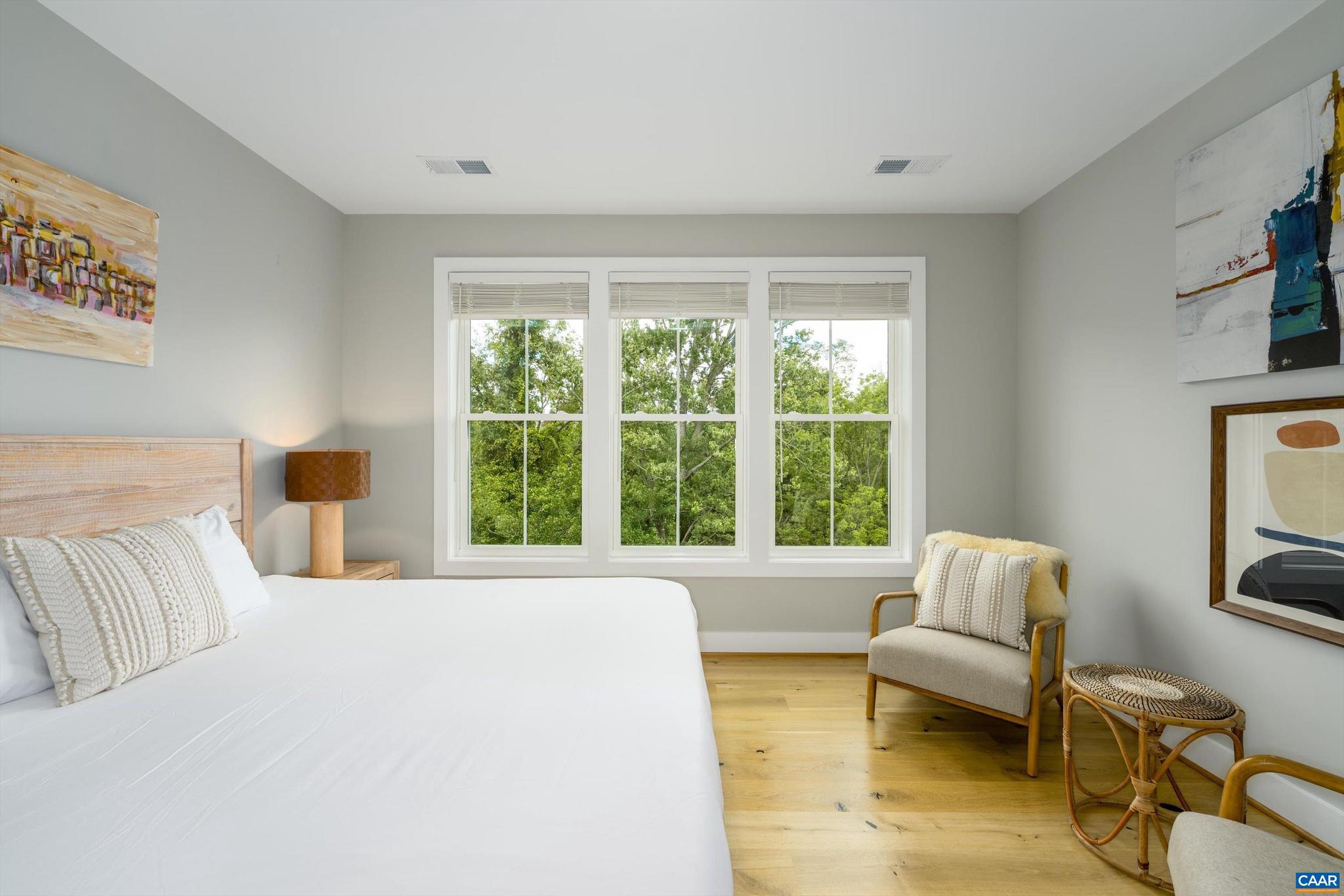 207 Hartmans Mill Road Charlottesville, VA 22902 - Photo 32 of 62