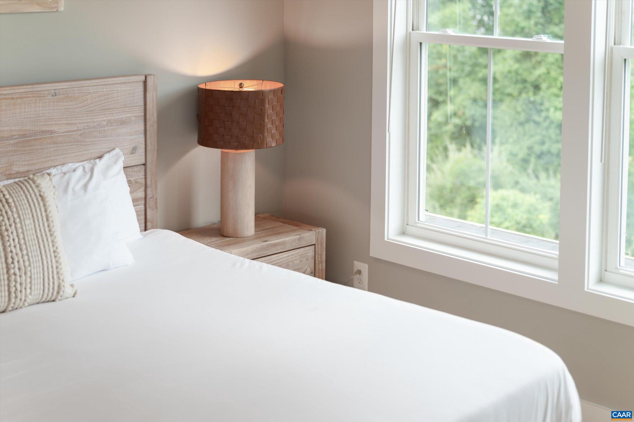 207 Hartmans Mill Road Charlottesville, VA 22902 - Photo 33 of 62