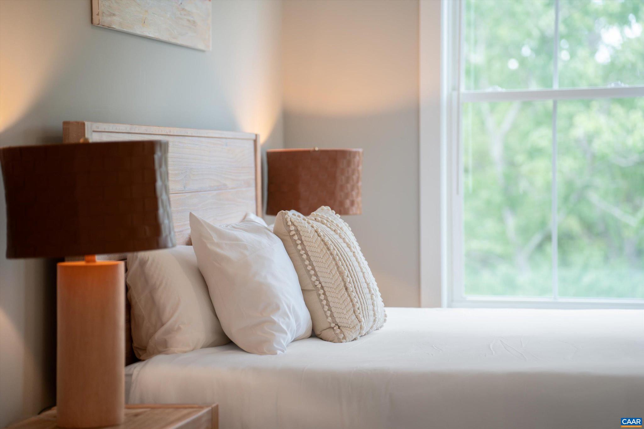 207 Hartmans Mill Road Charlottesville, VA 22902 - Photo 35 of 62