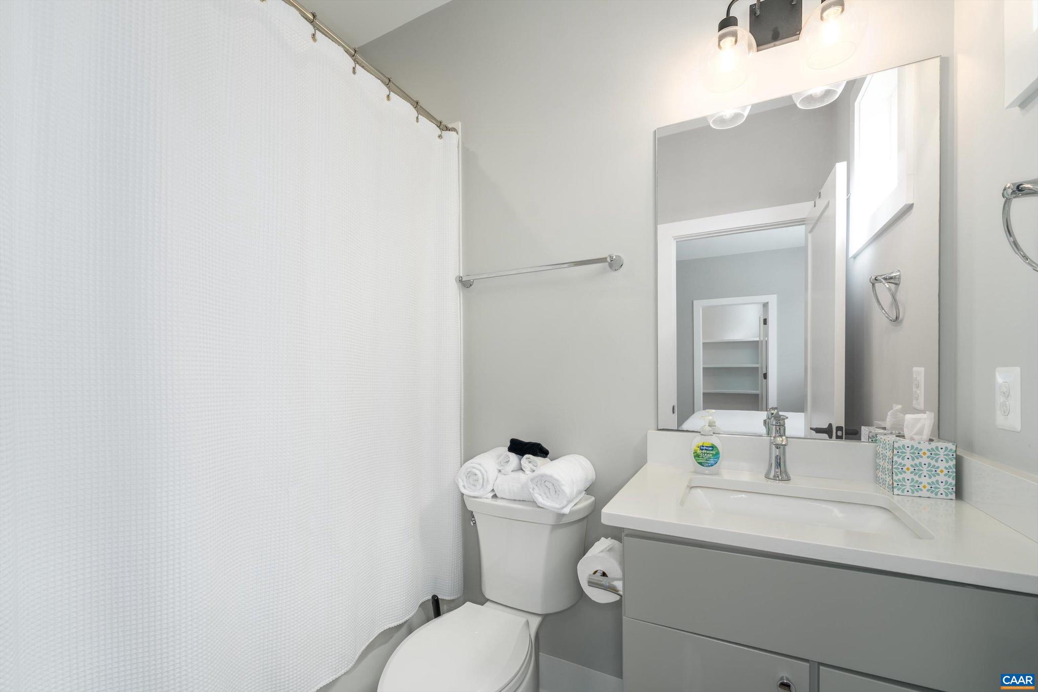 207 Hartmans Mill Road Charlottesville, VA 22902 - Photo 43 of 62