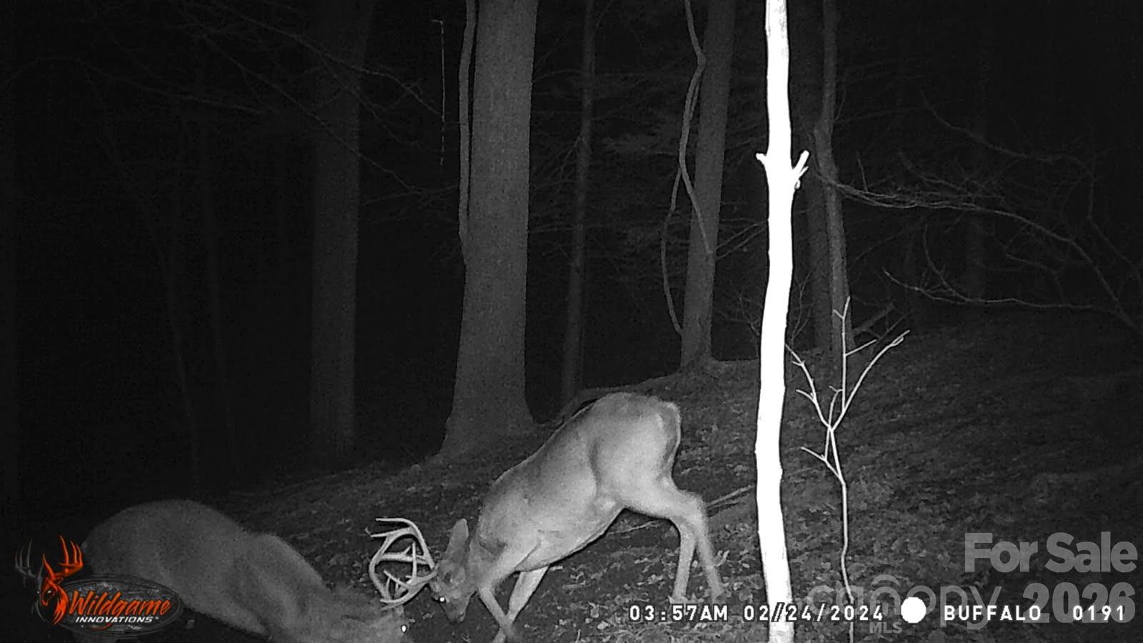 0 Buffalo Cove Road Lenoir, NC 28645 - Photo 18 of 22 Gallery Image 18