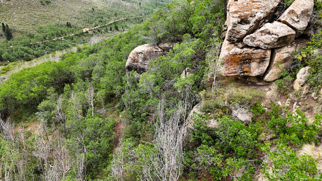 123 Beaver Creek Road Helper, UT 84526 - Photo 30 of 47 Natural rock formations with green foliage and a distant unpaved road