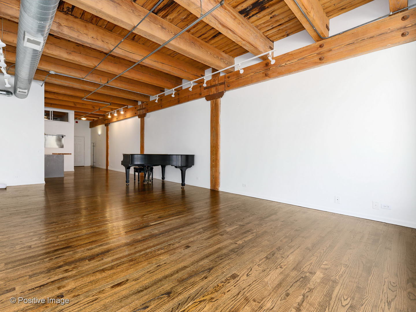 14 North Peoria Street, Unit 4D Chicago, IL 60607 - Photo 4 of 15