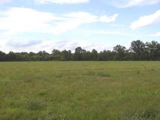 2500 Moler Road, Unit LT 4 Goshen, OH 45122 - Photo 1 of 1