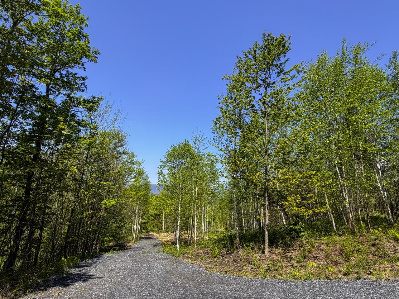 Lot 5 Highview Road, Unit BLOCK 8 PLAT H Warren, VT 05674 - Photo 11 of 37 Gallery Image 11